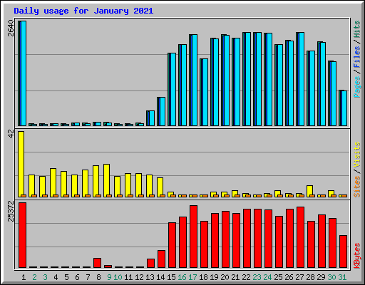 Daily usage for January 2021