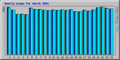 Hourly usage for March 2021